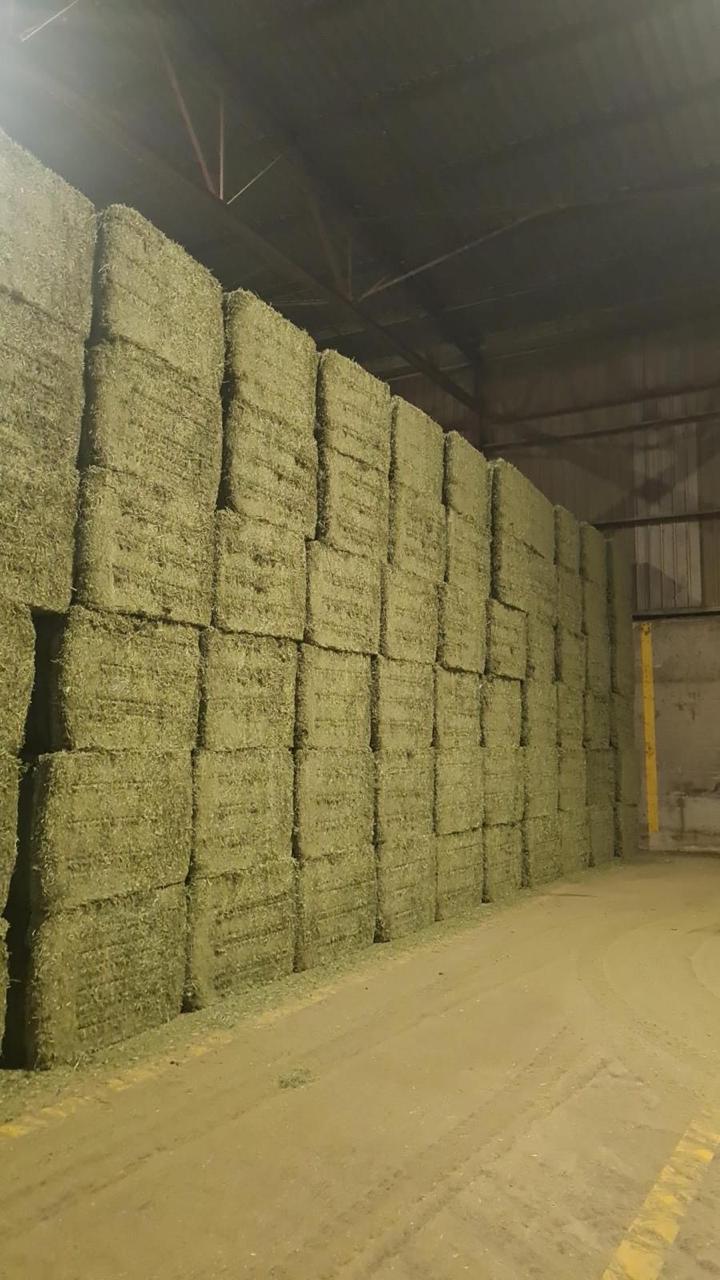 Agrivanta facility